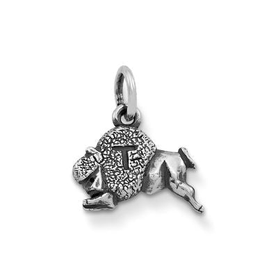 Tonk Charm