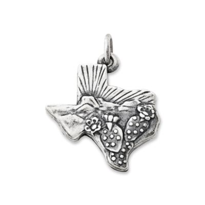 Texas Landscape Charm